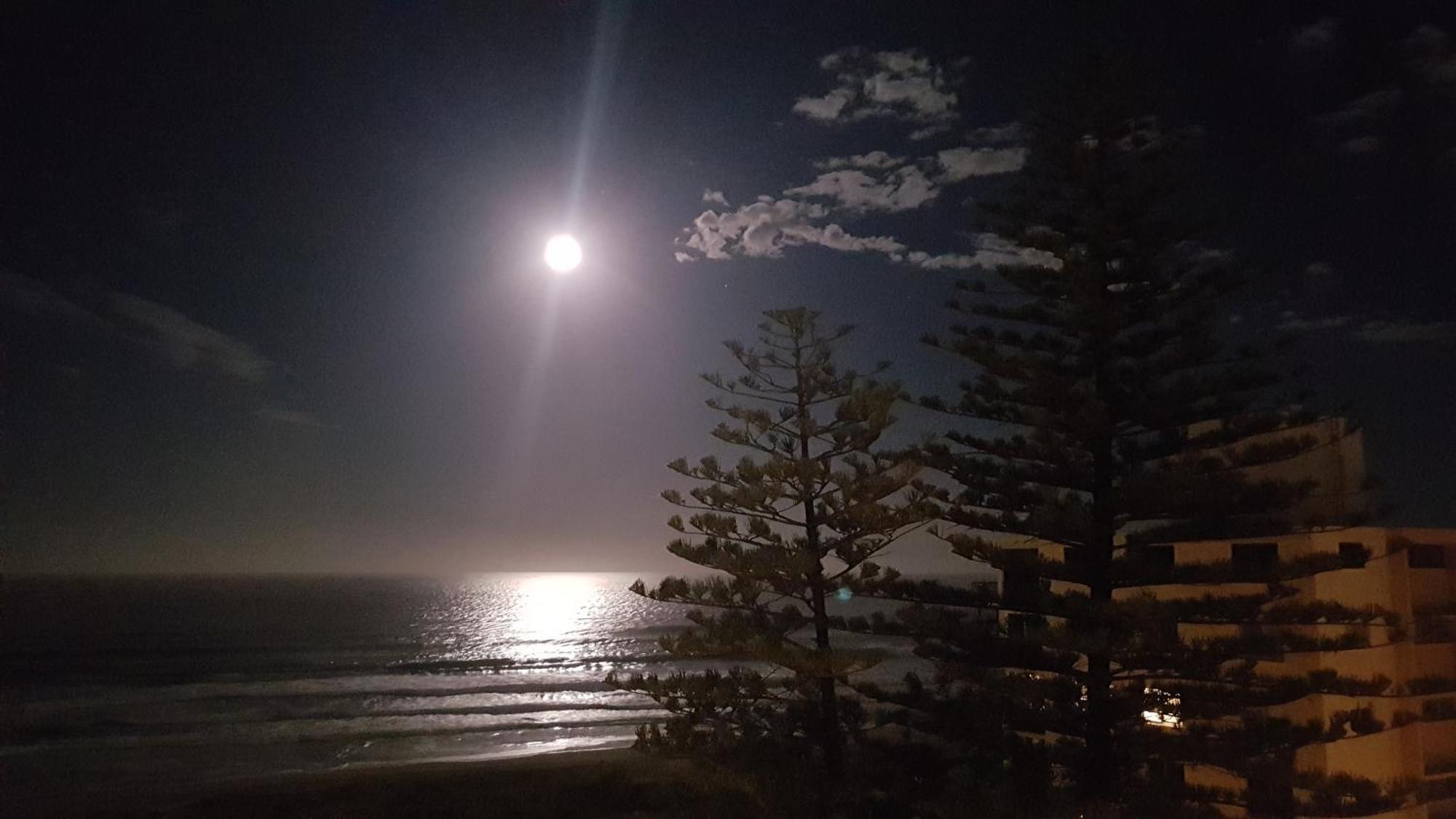 Surfers Chalet Gold Coast Exterior foto